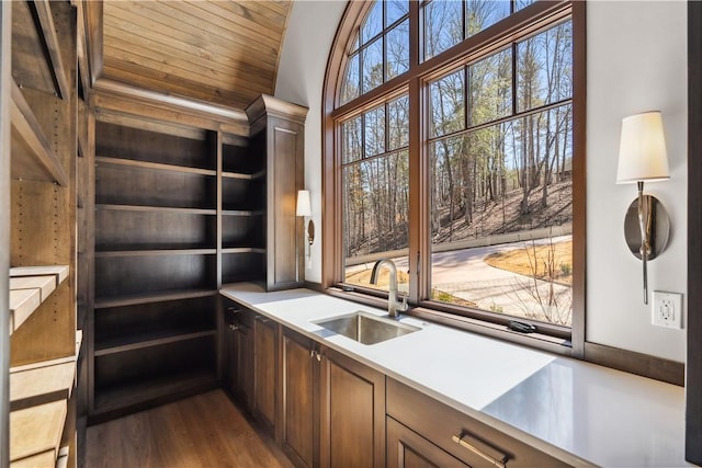 interior space featuring light countertops, a sink, and wood finished floors