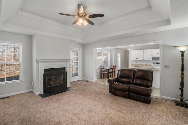 living area featuring a raised ceiling and light colored carpet