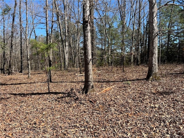 Listing photo 3 for LOT7 Dunlap Rd, Anderson SC 29621