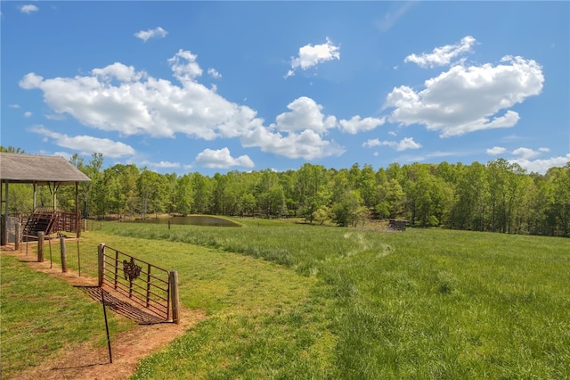 view of yard with a rural view