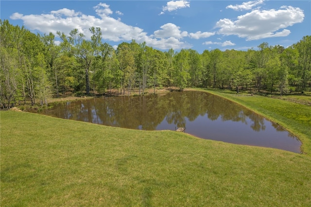 water view featuring a view of trees