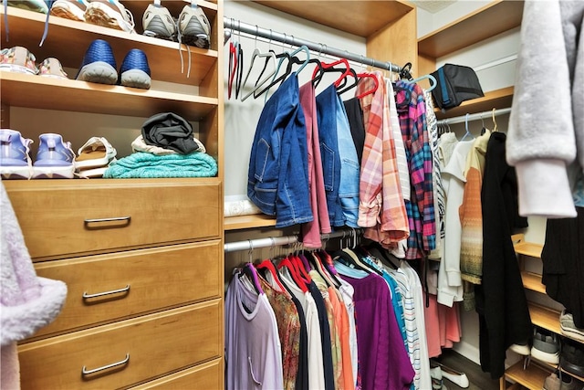 view of spacious closet