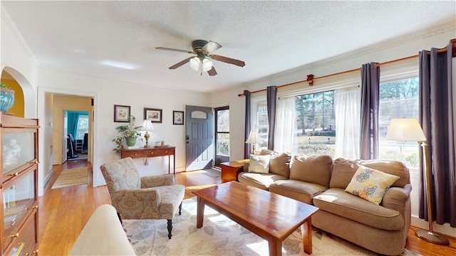 living area featuring arched walkways, light wood finished floors, ornamental molding, ceiling fan, and a textured ceiling