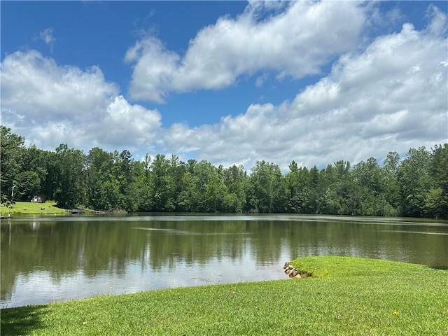 271 Piper Ln, Pickens, SC 29671 - water view featuring a forest
