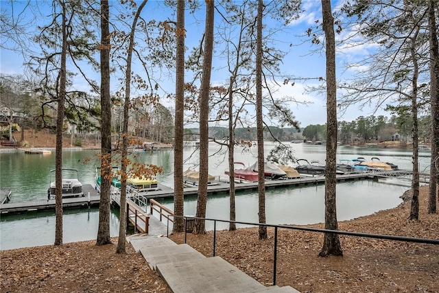 dock area with a water view