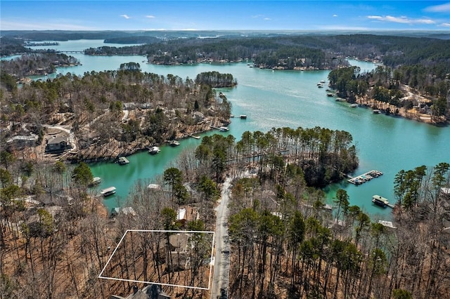 bird's eye view featuring a water view and a wooded view