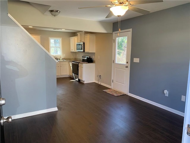 kitchen with stainless steel appliances, a wealth of natural light, baseboards, and dark wood-style floors