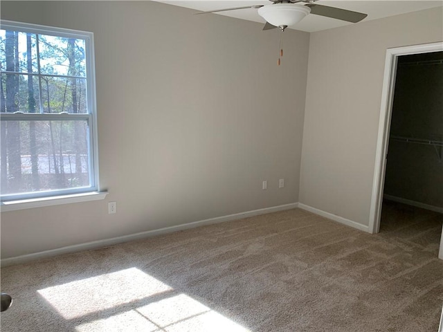 unfurnished bedroom featuring baseboards, a ceiling fan, carpet, a walk in closet, and a closet