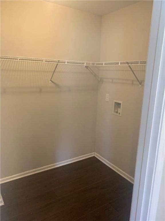 spacious closet with dark wood-type flooring