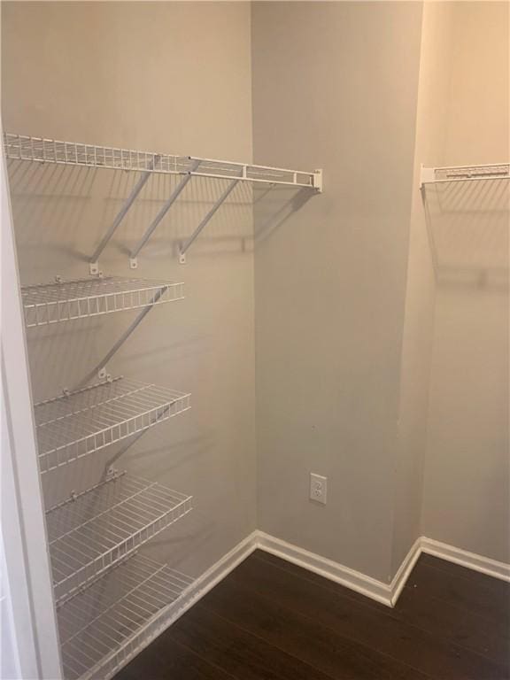 spacious closet featuring wood finished floors