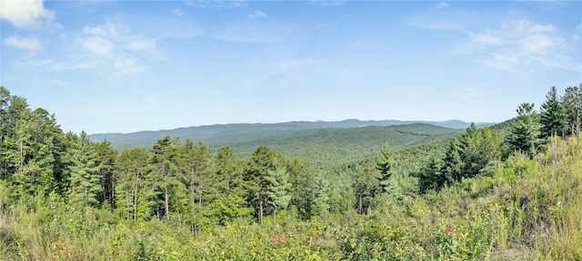 view of mountain feature featuring a forest view