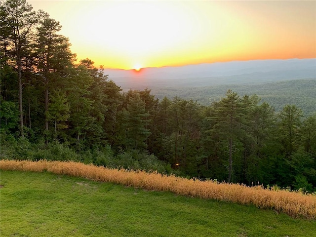 property view of mountains with a wooded view