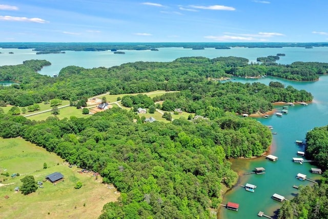 LotH Majestic Shores Road, Hartwell, GA 30643