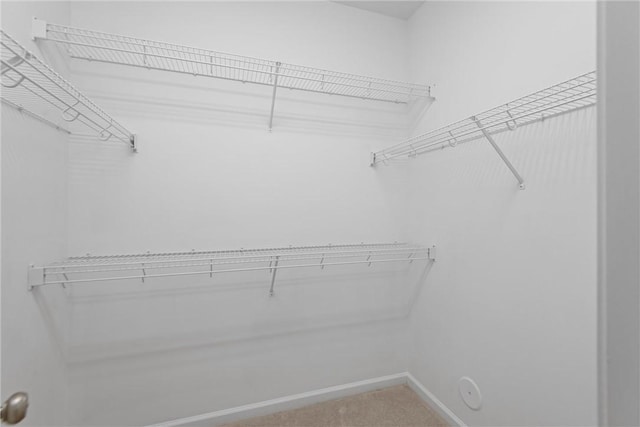 walk in closet with carpet