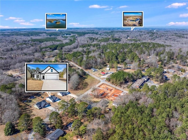 bird's eye view with a forest view