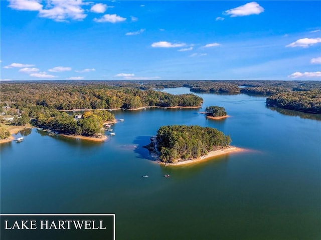 birds eye view of property with a water view and a wooded view