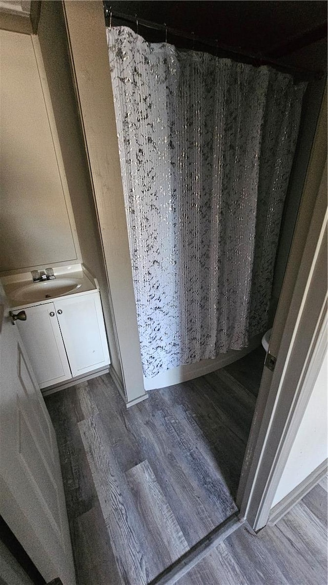 bathroom featuring vanity and wood finished floors