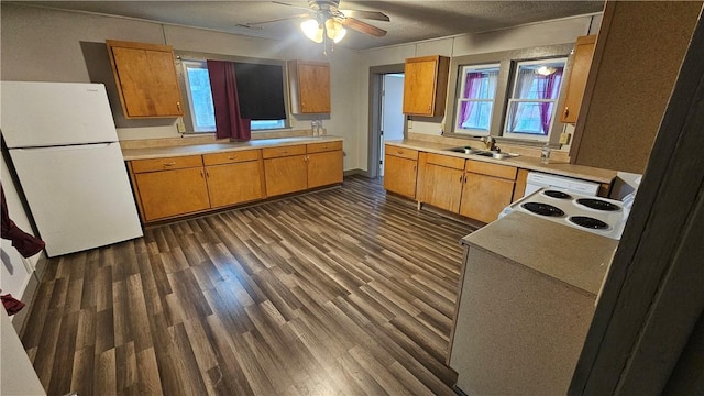 kitchen featuring brown cabinets, dark wood-type flooring, freestanding refrigerator, light countertops, and a sink