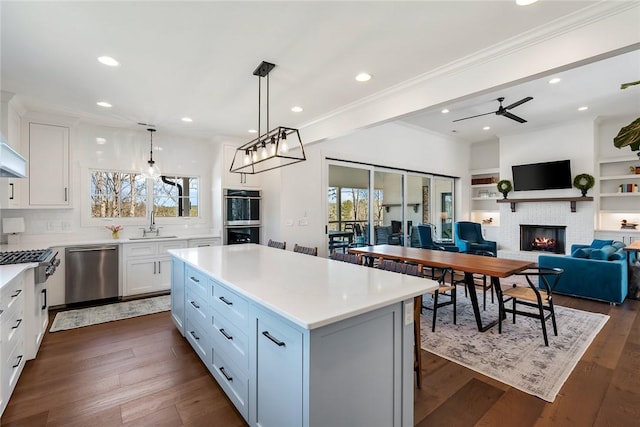 kitchen featuring a fireplace, appliances with stainless steel finishes, dark wood-type flooring, and a wealth of natural light