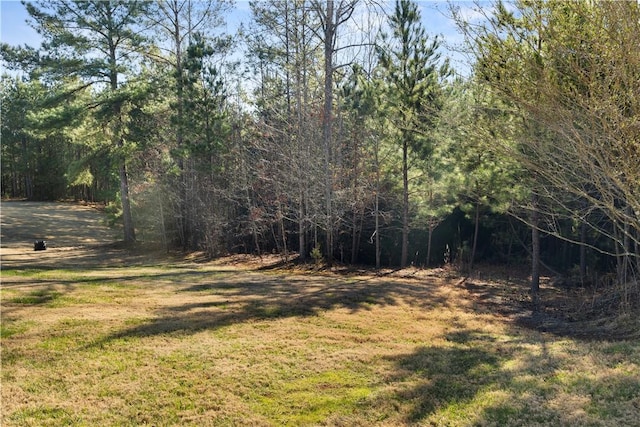 view of yard featuring a wooded view