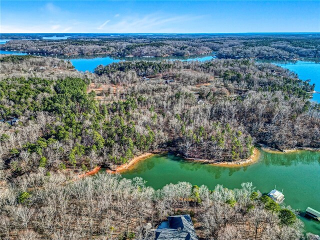 10 Osceola Trl, Fair Play, SC 29643 - photo 6