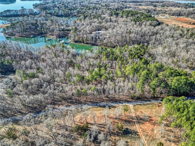 10 Osceola Trl, Fair Play, SC 29643 - photo 11