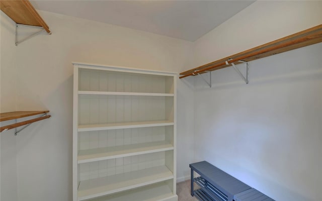 spacious closet with carpet floors