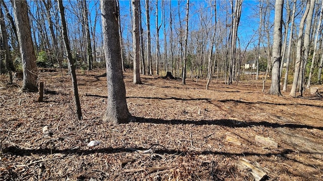 Listing photo 3 for LOTS11 Thornehill Dr, Anderson SC 29621