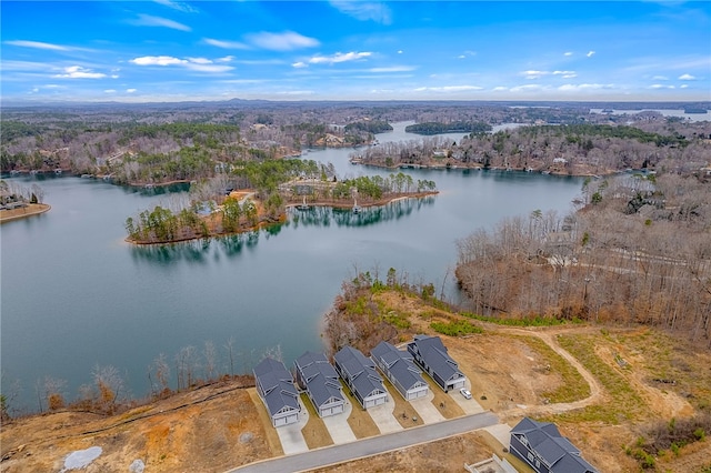 1230 Melton Rd Unit 215, West Union, SC 29696 - aerial view featuring a forest view and a water view