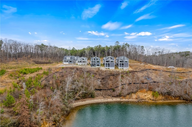 1230 Melton Rd Unit 215, West Union, SC 29696 - bird's eye view with a wooded view and a water view