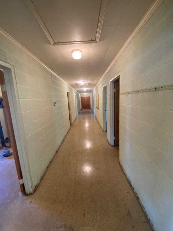 hall with attic access, concrete block wall, crown molding, and light floors