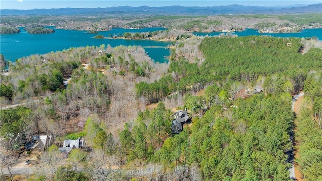 birds eye view of property with a water view and a wooded view