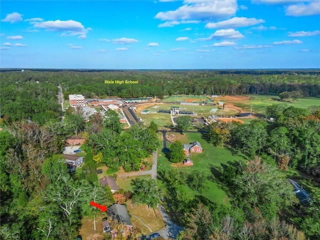 bird's eye view with a view of trees