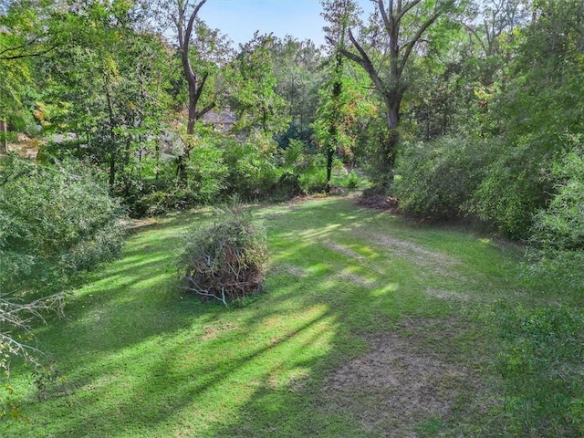 view of yard with a wooded view