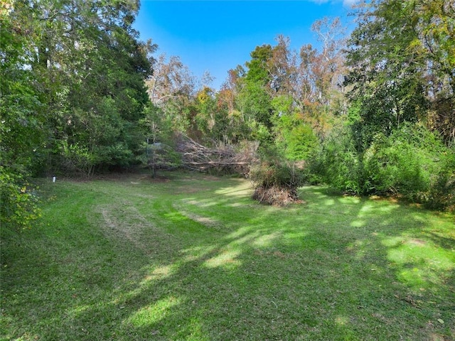 view of yard with a wooded view