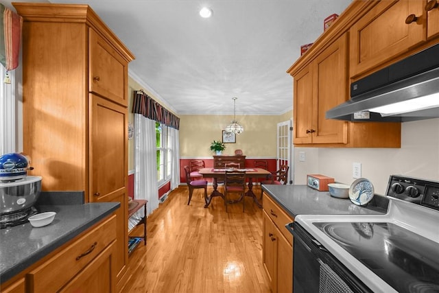 kitchen featuring brown cabinetry, light wood-style flooring, under cabinet range hood, and electric range oven