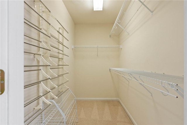 walk in closet featuring carpet