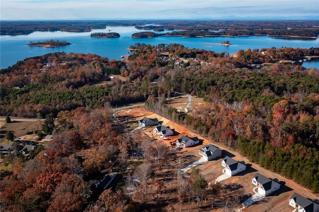 drone / aerial view with a water view and a view of trees