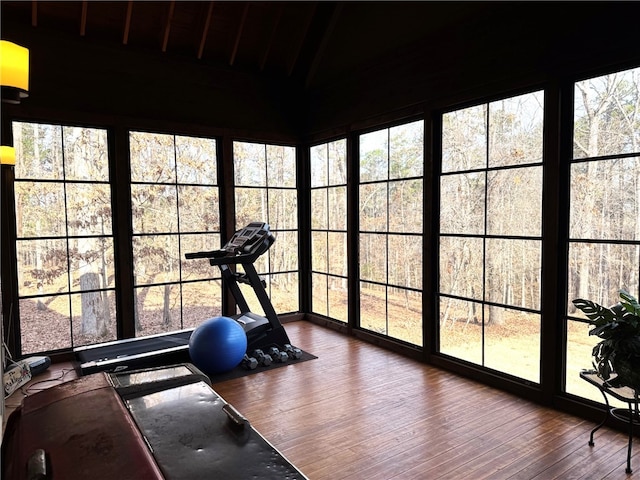 exercise area with lofted ceiling, a healthy amount of sunlight, and hardwood / wood-style floors