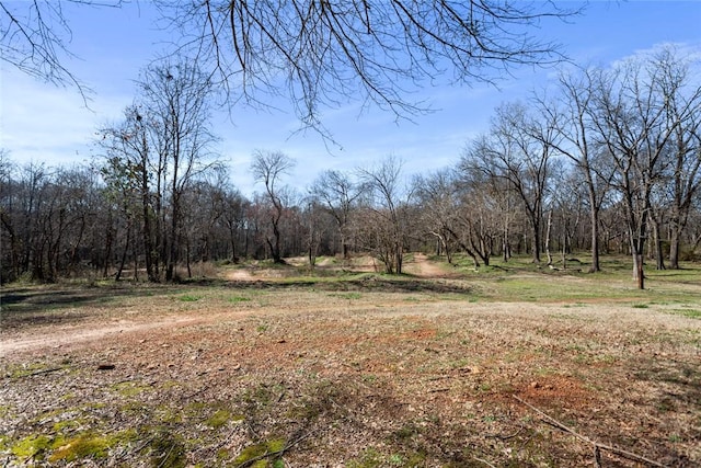 view of local wilderness featuring a wooded view