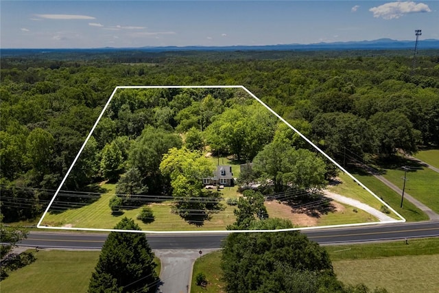 2549 Six Mile Highway, Central, SC 29630 - photo 42