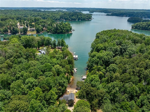 drone / aerial view featuring a water view and a view of trees