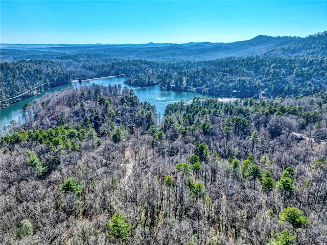 bird's eye view with a water view and a wooded view