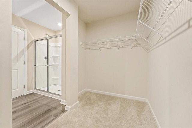 spacious closet featuring wood finished floors