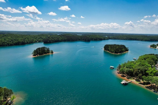 432 Over Look Dr, Fair Play, SC 29643 - birds eye view of property with a water view and a view of trees