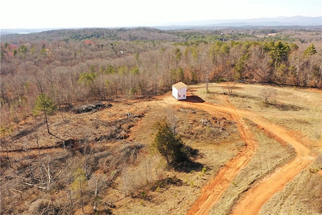 bird's eye view with a forest view