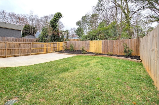 view of yard with a patio area and a fenced backyard