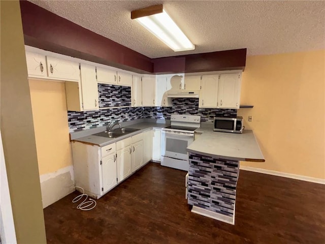 kitchen with under cabinet range hood, dark wood-style flooring, a sink, electric stove, and stainless steel microwave