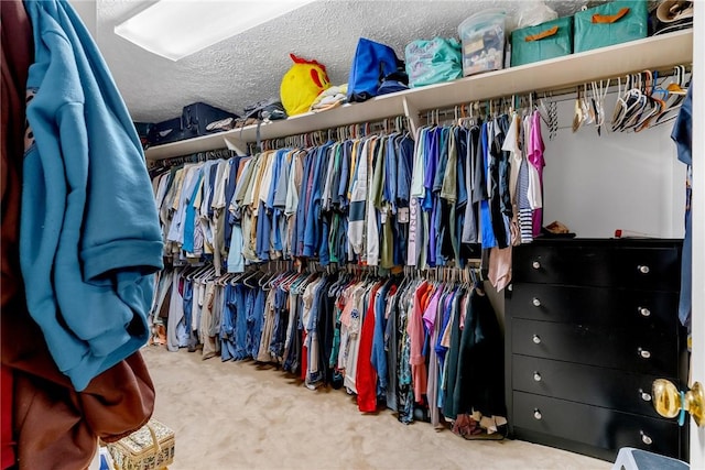 spacious closet featuring carpet flooring