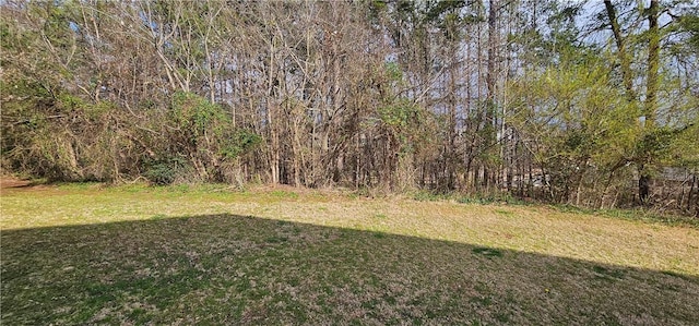 view of yard featuring a view of trees